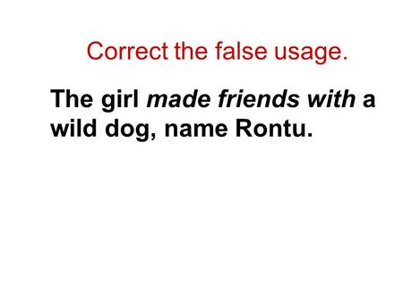 Correct the false usage. The girl made friends with a wild dog, name Rontu.