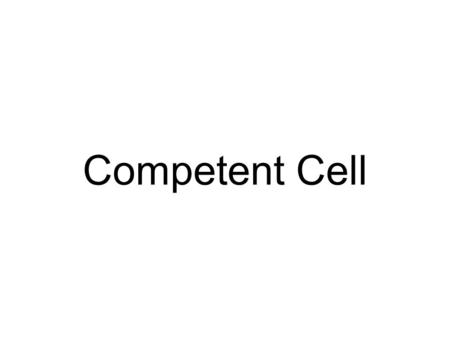 Competent Cell. Competent Cell? DNA 를 받아들일 수 있는 능력을 가진 cell 효과적으로 Transformation 하기 위해 정상 의 Bacteria cell 에 물리적, 화학적 처리를 가하여 외부의 DNA 가 잘 들어갈 수 있도록 만든.