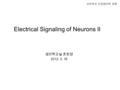 생리학교실 호원경 2012. 3. 16 의과학과 신경생리학 원론 Electrical Signaling of Neurons II.
