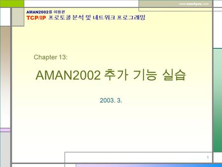 AMAN2002 를 이용한 TCP/IP 프로토콜 분석 및 네트워크 프로그래밍 www. nms4you.com 1 AMAN2002 추가 기능 실습 2003. 3. Chapter 13: