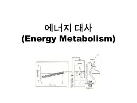 에너지 대사 (Energy Metabolism). 생명의 특징 (attributes of living matter) Six most important life processes Metabolism ( 신진대사 ) Responsiveness ( 반응, adaptation.