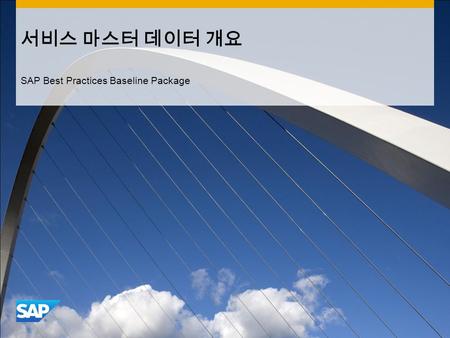 서비스 마스터 데이터 개요 SAP Best Practices Baseline Package.