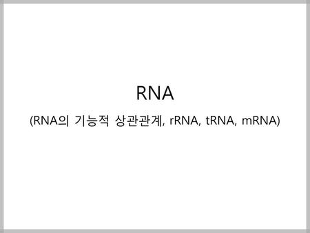 (RNA의 기능적 상관관계, rRNA, tRNA, mRNA)