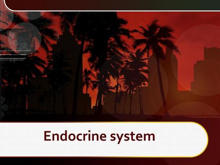 Endocrine system.