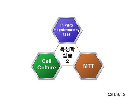 In vitro Hepatotoxicity test 독성학 실습 2 Cell Culture MTT 2011. 5. 13.