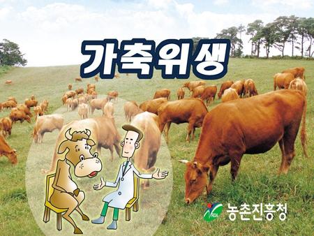 국립수의과학검역원 박종우 돼지콜레라 교육.홍보자료.