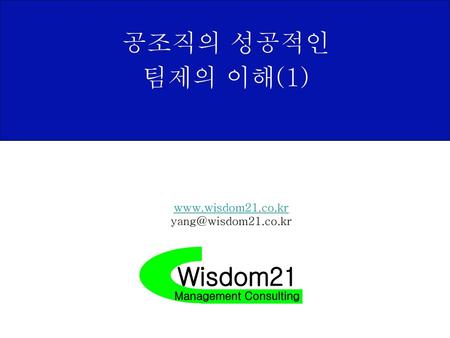 공조직의 성공적인 팀제의 이해(1) Wisdom21