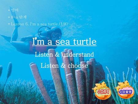 I’m a sea turtle Listen & understand Listen & choose 영어 8-a 단계
