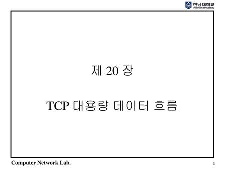 제 20 장 TCP 대용량 데이터 흐름.