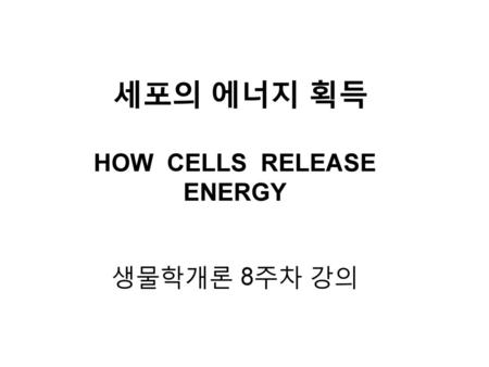 HOW CELLS RELEASE ENERGY 생물학개론 8주차 강의
