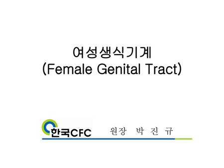여성생식기계 (Female Genital Tract)