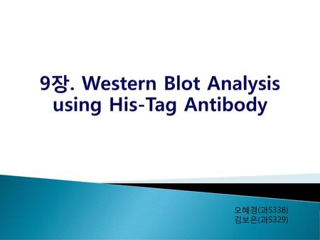 9장. Western Blot Analysis using His-Tag Antibody