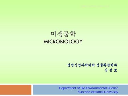 미생물학 Microbiology 생명산업과학대학 생물환경학과 김 정 호