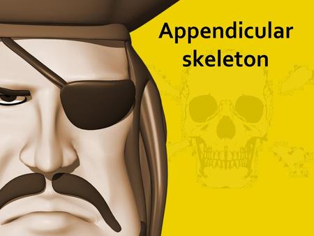 Appendicular skeleton