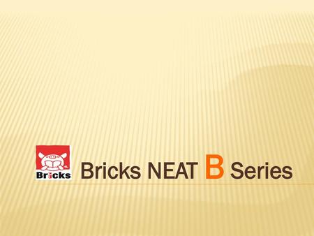 Bricks NEAT B Series.