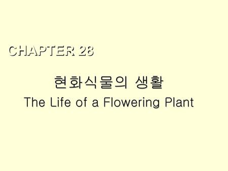 현화식물의 생활 The Life of a Flowering Plant