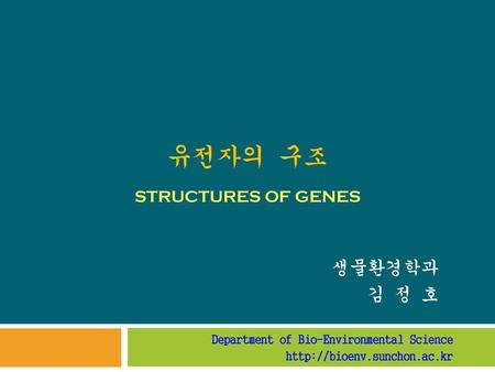 유전자의 구조 Structures of Genes