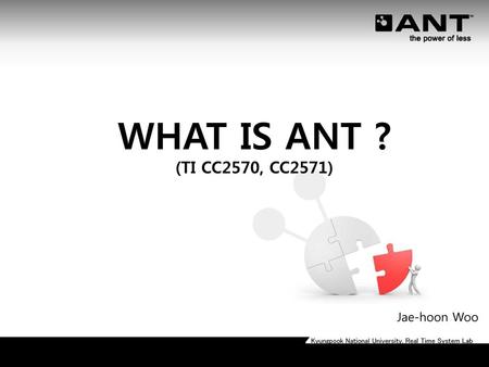 WHAT IS ANT ? (TI CC2570, CC2571) Jae-hoon Woo.