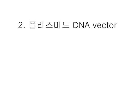 2. 플라즈미드 DNA vector.