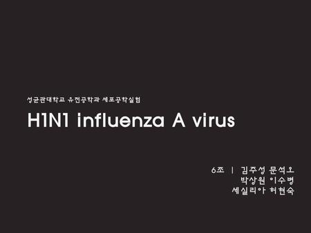 H1N1 influenza A virus 6조 | 김주성 문석오 박상원 이수병 세실리아 허현숙