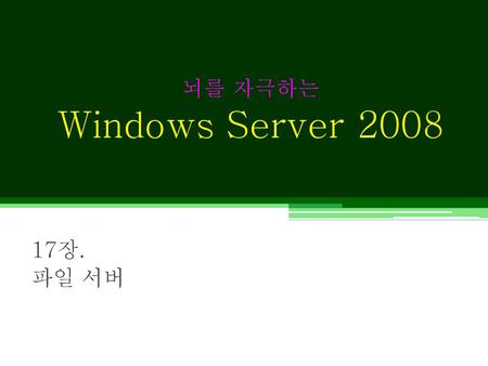 뇌를 자극하는 Windows Server 2008 17장. 파일 서버.