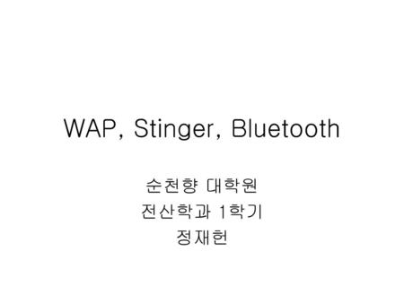 WAP, Stinger, Bluetooth 순천향 대학원 전산학과 1학기 정재헌.