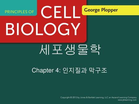 세포생물학 Chapter 4: 인지질과 막구조.