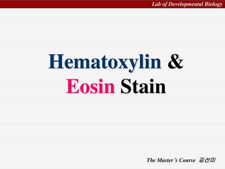 Hematoxylin & Eosin Stain