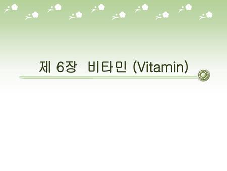 제 6장 비타민 (Vitamin).