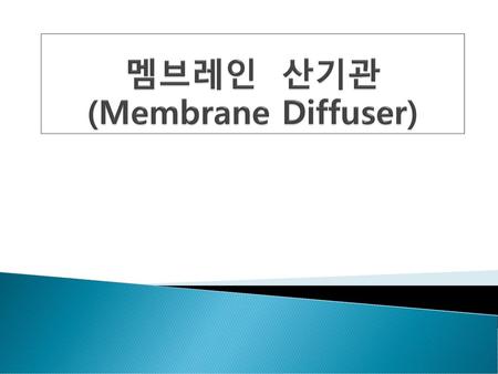 멤브레인 산기관 (Membrane Diffuser)