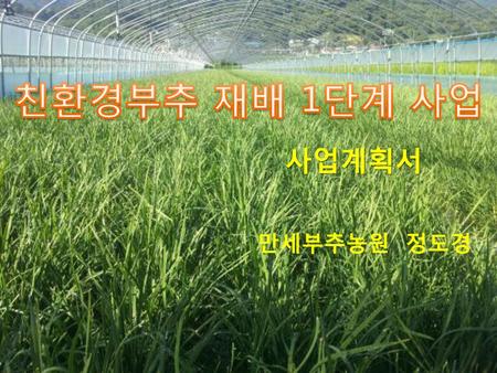 친환경부추 재배 1단계 사업 사업계획서 만세부추농원 정도경.