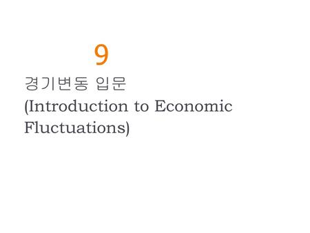 경기변동 입문 (Introduction to Economic Fluctuations)