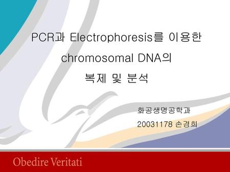 PCR과 Electrophoresis를 이용한