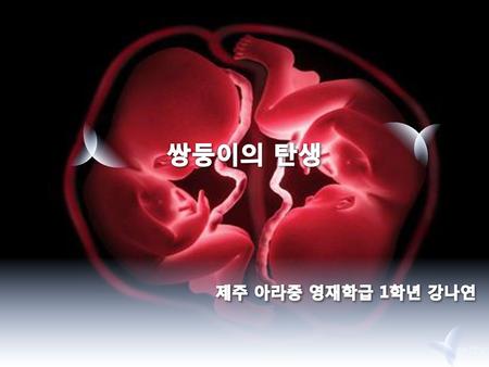 쌍둥이의 탄생 제주 아라중 영재학급 1학년 강나연.