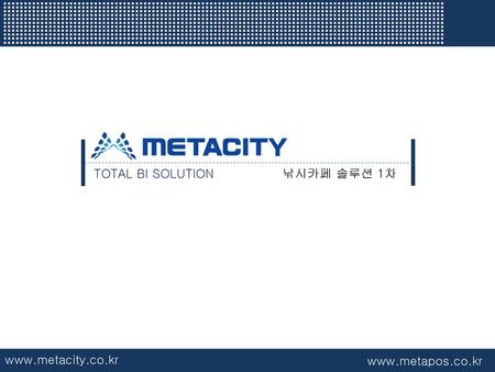 TOTAL BI SOLUTION 낚시카페 솔루션 1차 www.metacity.co.kr www.metapos.co.kr.