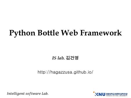 Python Bottle Web Framework