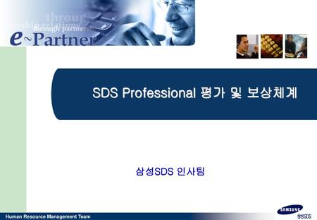 SDS Professional 평가 및 보상체계