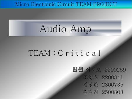 Micro Electronic Circuit TEAM PROJECT