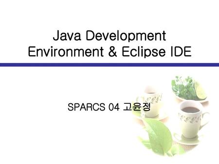 Java Development Environment & Eclipse IDE
