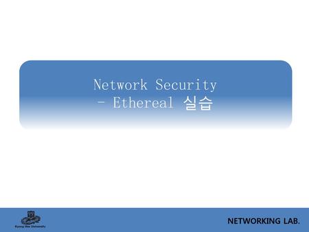 Network Security - Ethereal 실습