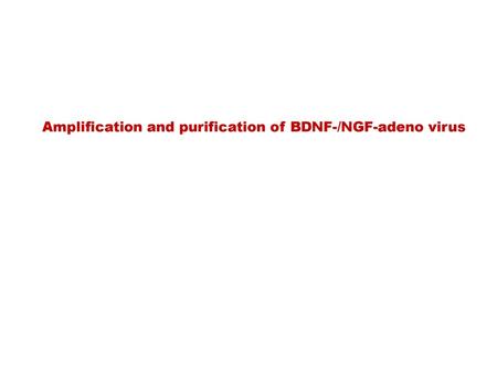 Amplification and purification of BDNF-/NGF-adeno virus
