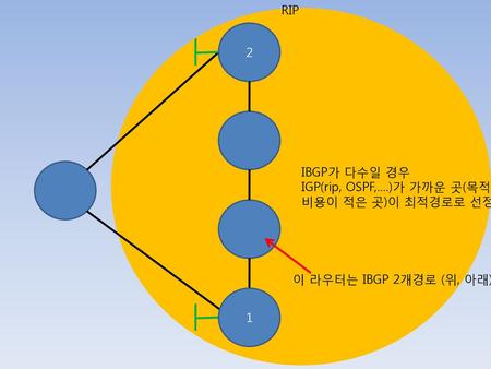 RIP 2 IBGP가 다수일 경우 IGP(rip, OSPF,….)가 가까운 곳(목적지까지 비용이 적은 곳)이 최적경로로 선정