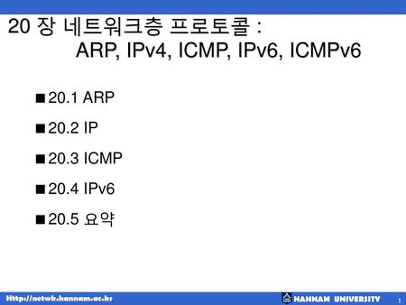 20 장 네트워크층 프로토콜 : ARP, IPv4, ICMP, IPv6, ICMPv6
