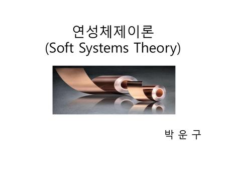 연성체제이론 (Soft Systems Theory)