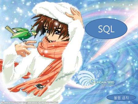 SQL SQL 불펌하지 마세요!!!!!!!! 불펌 금지.