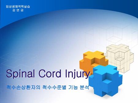 Spinal Cord Injury 척수손상환자의 척수수준별 기능 분석.
