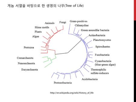 게놈 서열을 바탕으로 한 생명의 나무(Tree of Life)