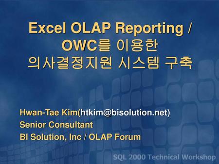 Excel OLAP Reporting / OWC를 이용한