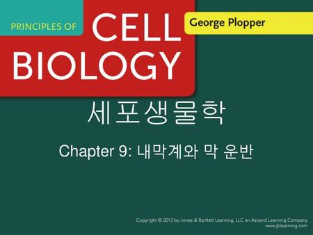 세포생물학 Chapter 9: 내막계와 막 운반