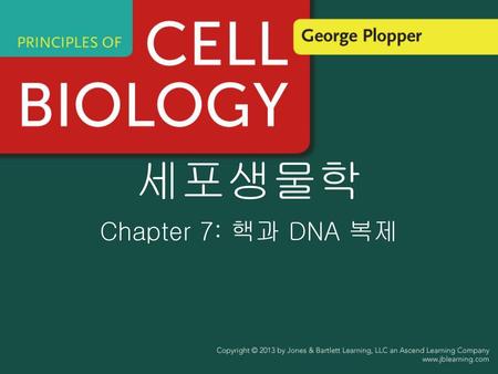 세포생물학 Chapter 7: 핵과 DNA 복제.